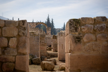 Fototapeta na wymiar Anjar roman and Umayyad ruins in Beqaa, Lebanon