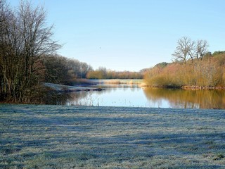 Winter Szene am Fluss