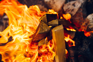 Fototapeta premium firewood burning in a fire