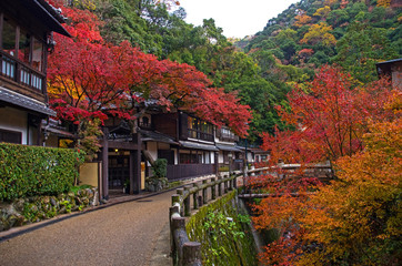 明治の森箕面国定公園・紅葉する滝道の風景