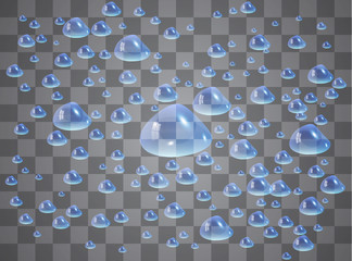 Water drops. Raindrops or showers, condensation on the glass. dew after rain. isolated on transparent background. Vector illustration.