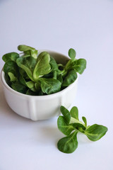 Fresh valerian leaf in bowl isolated on white.