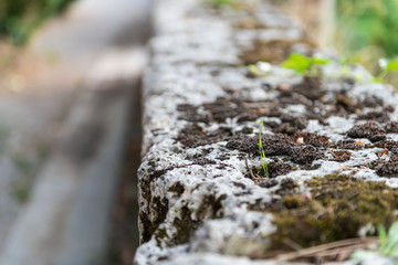 Macro closeup of old stone wall railing outside in Italy in Chiusi, Umbria or Tuscany with garden and bokeh background