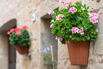 Monticchiello, Italy town or village city in Tuscany closeup of window door and pink flower pots decorations on summer day with nobody stone wall architecture