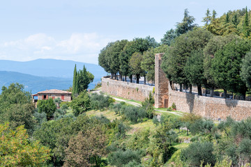 Fototapeta na wymiar Montalcino wall walled fortress city in Italy Val D'Orcia countryside in Tuscany hilltop small town village in summer stone house and park with mountain view