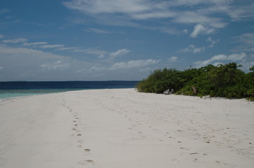 モルディブの砂浜