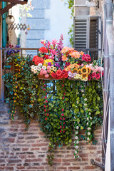 Fototapeta na wymiar Montepulciano, Italy town village city in Tuscany closeup of window balcony and colorful flower decorations on sunny summer day nobody architecture hanging vine green plant