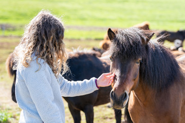 Young woman petting a black and brown horse face head in countryside in field pasture paddock in...