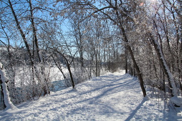 Late Winter On The Trail, Gold Bar Park, Edmonton, Alberta