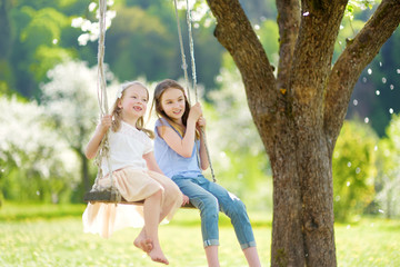 Two cute sisters having fun on a swing in blossoming old apple tree garden outdoors on sunny spring...