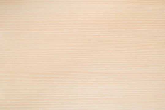 190 606 Best Woody Images Stock Photos Vectors Adobe Stock 190 606 Best Woody Images Stock Photos Vectors Adobe Stock