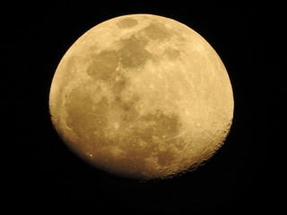Fototapeta premium Lua oh Lua 