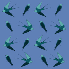 Fototapeta premium Blue birds