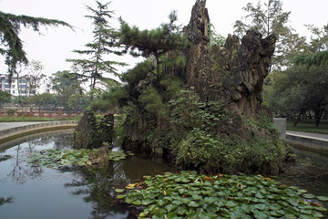 Fototapeta na wymiar Chengdu China, pond with rock feature and bonsai trees in wangjianglou park