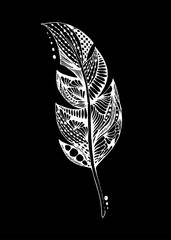 Hand-drawn white feather with doodle patterns on black background. Hand draw illustration.