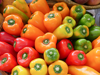 Freshness pepper, Colorful Yellow, orange, green and Red Paprika, Colorful bell peppers on the street market.