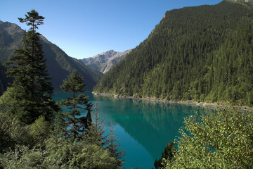 Jiuzhaigou national park China, landscape of blue lake and primeval forest