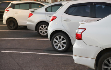 Fototapeta na wymiar Closeup of rear or back side of white car with other cars parking in outdoor parking area in twilight evening. 