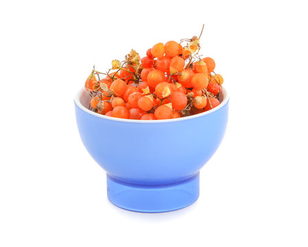 Orange Gunda gumberry