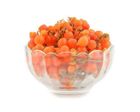 Orange Gunda gumberry
