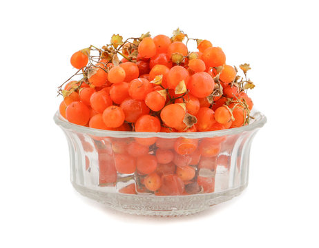 Orange Gunda gumberry