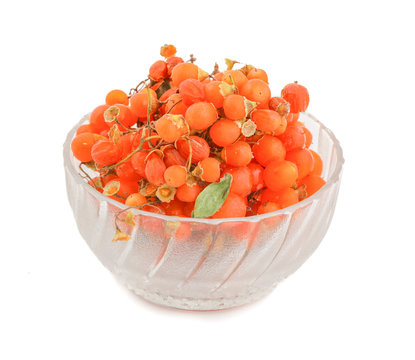 Orange Gunda gumberry
