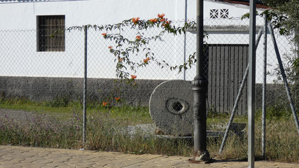 Orange honeysuckle on fence with millstone