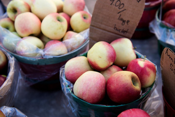 Fresh Veggies and Fruits