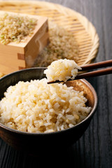 玄米　Brown rice