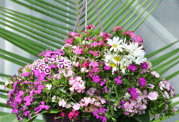 Fototapeta na wymiar bouquet of flowers on the garden