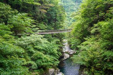 奈良県・御手洗渓谷