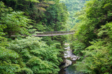 奈良県・御手洗渓谷