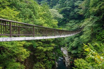 奈良県・御手洗渓谷