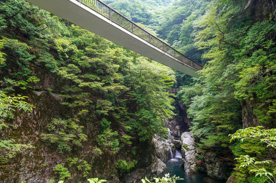奈良県・御手洗渓谷