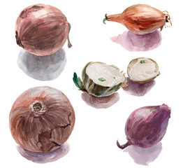 Watercolor pattern of bulbs isolated on white background