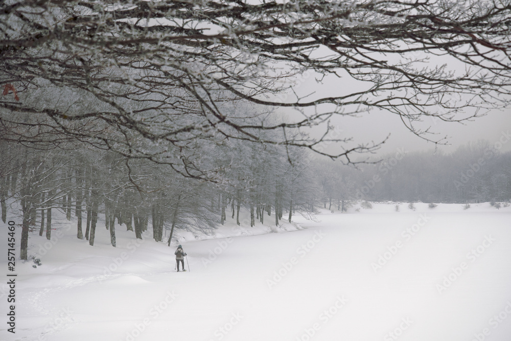 Wall mural cross-country skier in winter landscape