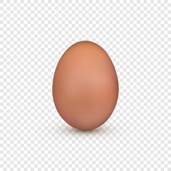 Brown egg. Chicken egg Easter symbol. Vector illustration isolated on transparent background
