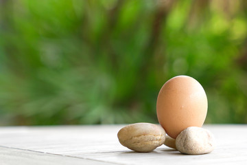 Egg with green background. Life and health concept