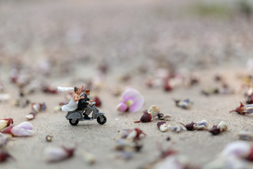 Miniature people : Couple riding the motorcycle in the garden  , Valentine's Day concept