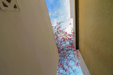 ghalyas museum of modern art
