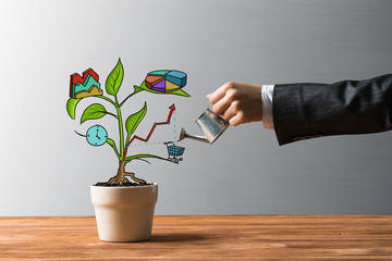 Drawn income tree in white pot for business investment savings and making money