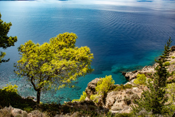 Egzotyczny krajobraz. Błękitne morze i klify z sosnami