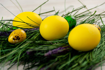 Easter eggs on fake grass