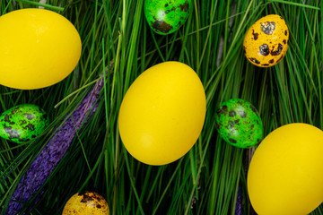 Fototapeta na wymiar Easter eggs on fake grass