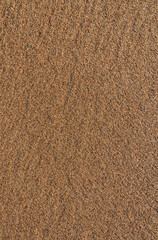 View to the sandy surface.