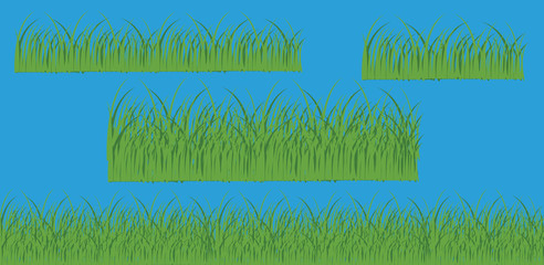 Obraz premium Green grass on a transparent background. Glade in the forest grass. Vector illustration on a light background.