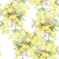 Hand painted watercolor illustration. seamless pattern with lemon tree branch elements. 