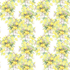 Hand painted watercolor illustration. seamless pattern with lemon tree branch elements. 