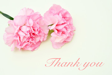 Pink carnation flowers for Mother's day on light green background