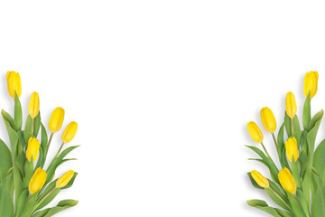 Frame of yellow tulips isolated on white background.